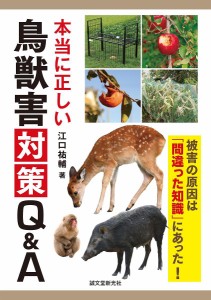 鳥獣 対策の通販｜au PAY マーケット