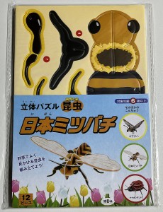 立体パズル昆虫 日本ミツバチ
