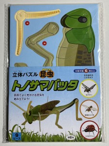 立体パズル昆虫 トノサマバッタ