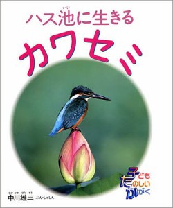 ハス池で生きるカワセミ/中川雄三