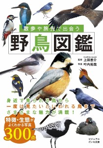 散歩や旅先で出会う野鳥図鑑/上田恵介/叶内拓哉