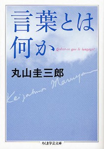 言葉とは何か/丸山圭三郎