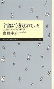 宇宙はこう考えられている ビッグバンからヒッグス粒子まで/青野由利