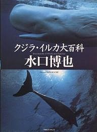 クジラ・イルカ大百科/水口博也