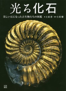 光る化石 美しい石になった古生物たちの図鑑/土屋香/土屋健