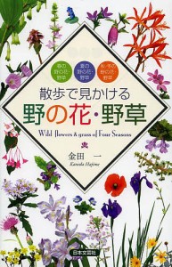 散歩で見かける野の花・野草 春の野の花・野草 夏の野の花・野草 秋/冬の野の花・野草/金田一