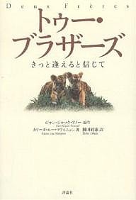 トゥー・ブラザーズ きっと逢えると信じて/ジャン・ジャック・アノー/カリーヌ・ルー・マティニョン/岡田好惠