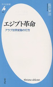 エジプト革命　アラブ世界変動の行方/長沢栄治