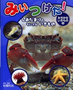 みいつけた!みぢかないきもの 5/松橋利光