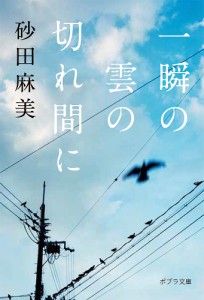 一瞬の雲の切れ間に/砂田麻美