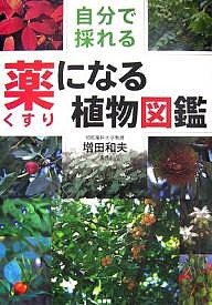 薬になる植物図鑑 自分で採れる