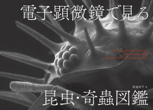 電子顕微鏡で見る昆虫・奇蟲図鑑/渡邊孝平