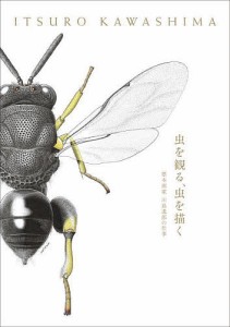 虫を観る、虫を描く 標本画家川島逸郎の仕事/川島逸郎