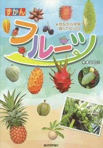 ずかんフルーツ 見ながら学習調べてなっとく/米本仁巳