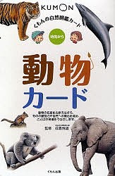 動物カード 幼児から