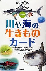 川や海の生きものカード 幼児から