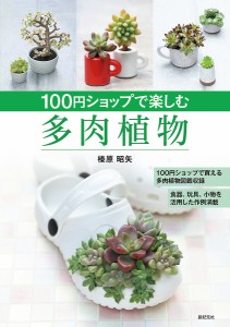 100円ショップで楽しむ多肉植物/榛原昭矢