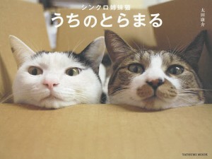 シンクロ姉妹猫うちのとらまる/太田康介