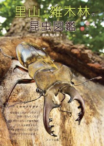 里山・雑木林の昆虫図鑑 春夏秋冬/今井初太郎