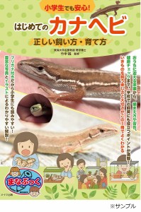 小学生でも安心!はじめてのカナヘビ正しい飼い方・育て方/竹中践