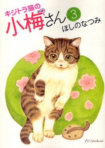 キジトラ猫の小梅さん 3/ほしのなつみ