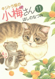 キジトラ猫の小梅さん 11/ほしのなつみ