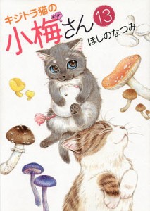 キジトラ猫の小梅さん 13/ほしのなつみ