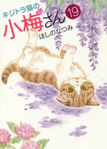 キジトラ猫の小梅さん 19/ほしのなつみ