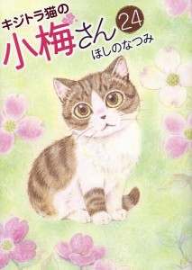 キジトラ猫の小梅さん 24/ほしのなつみ