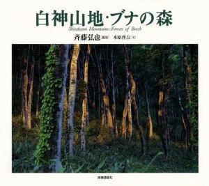 白神山地・ブナの森/斉藤弘也