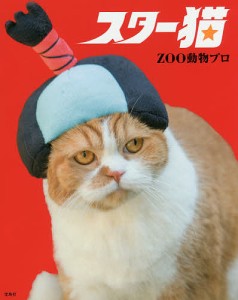 スター猫/ＺＯＯ動物プロ