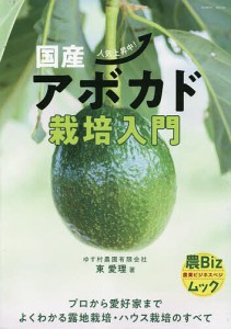 国産アボカド栽培入門 人気上昇中!/東愛理