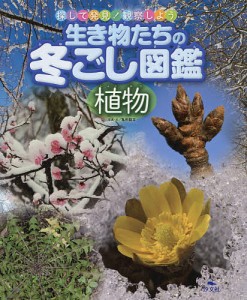 生き物たちの冬ごし図鑑 探して発見!観察しよう 植物/亀田龍吉