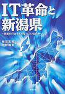 ＩＴ革命と新潟県　新潟のＩＴは今どうなっ