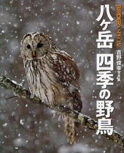 八ケ岳四季の野鳥 吉野俊幸写真集/吉野俊幸