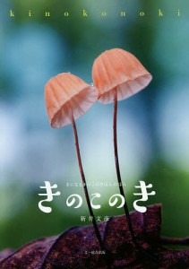 きのこのき きになるきのこのきほんのほん/新井文彦