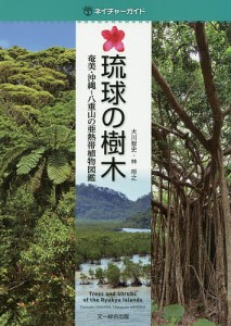 琉球の樹木 奄美・沖縄〜八重山の亜熱帯植物図鑑/大川智史/林将之