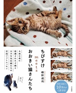 ちびすけmeetsおおきい猫さんたち/椹野道流