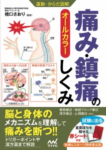 痛み・鎮痛のしくみ オールカラー/橋口さおり