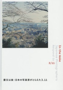 In the Wake 震災以後:日本の写真家がとらえた3.11/新井卓/ボストン美術館