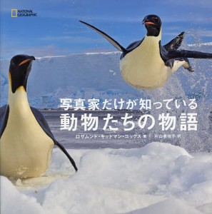 写真家だけが知っている動物たちの物語/ロザムンド・キッドマン・コックス/片山美佳子