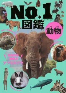 動物No.1図鑑/藤原尚太郎