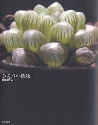 ひみつの植物/藤田雅矢