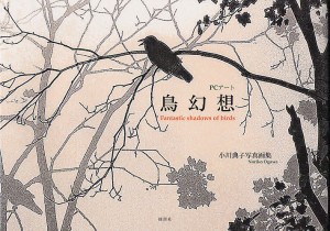 鳥幻想 PCアート 小川典子写真画集/小川典子