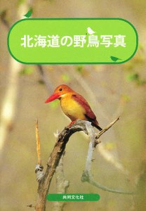 北海道の野鳥写真