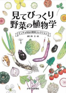 見てびっくり野菜の植物学　ゲッチョ先生の野菜コレクション/盛口満