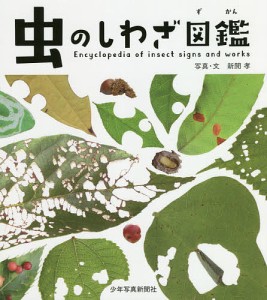 虫のしわざ図鑑/新開孝