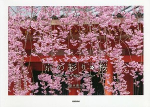 京の彩り・桜/橋本健次