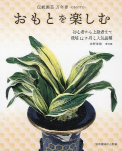 和室 インテリア 掛け軸 受注生産品 掛軸「紅白南天霊峰図」須藤栄心