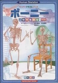 ボーニー 人体骨格模型